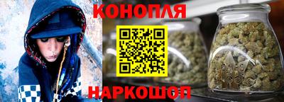 стаф Дубна