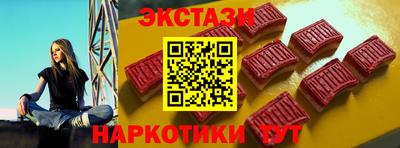 стаф Дубна