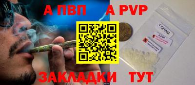 стаф Дубна