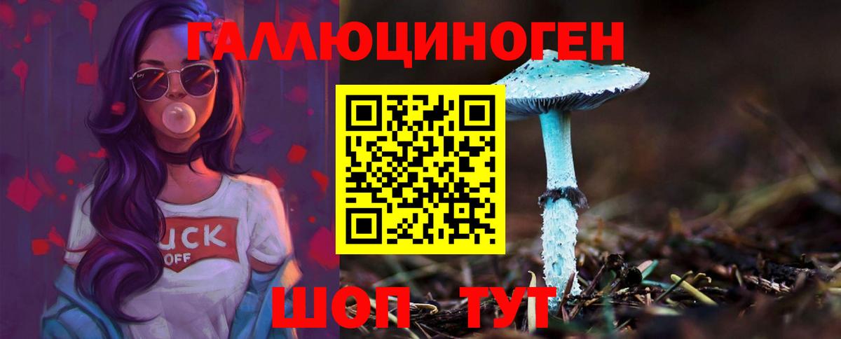 Псилоцибиновые грибы GOLDEN TEACHER Кушва